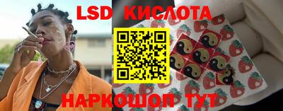 дмт Нальчик
