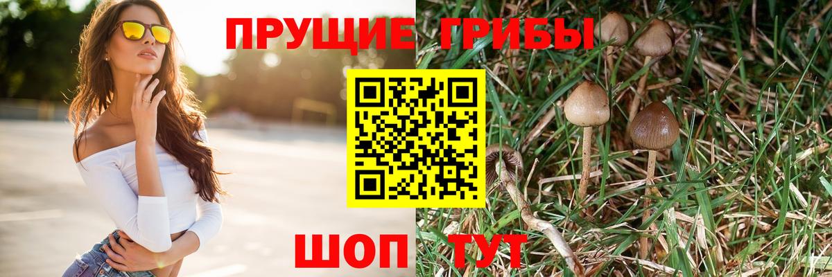 хочу наркоту  Вход с VPN  Топки  Псилоцибиновые грибы Magic Shrooms 